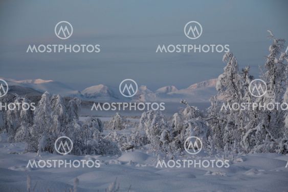 Vinterlandskap med Kebnekaise i bakgrunden