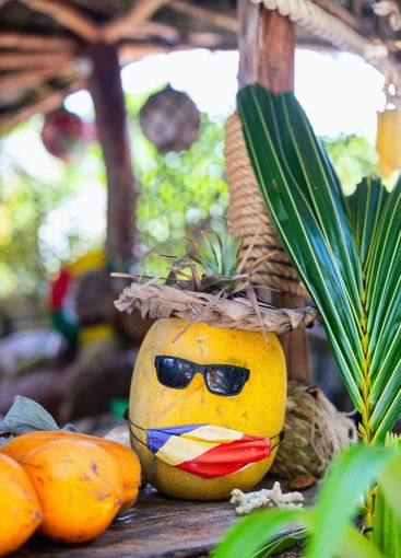 Decorative fruit with sunglasses