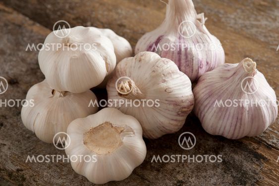Set of picked garlic bulbs