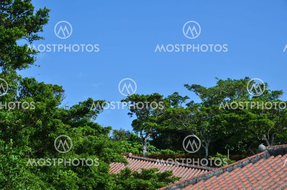Japanese tiled roof
