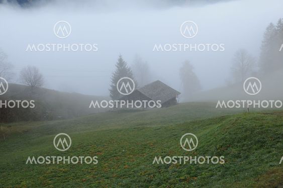 Foggy House