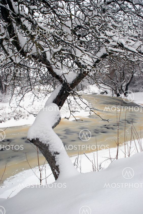 Winter river