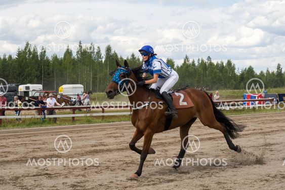 Hevonen