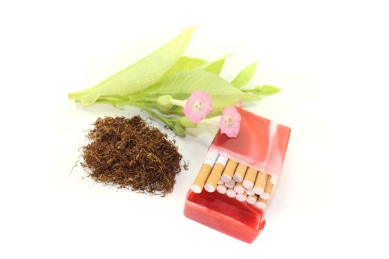 Tobacco with cigarettes case