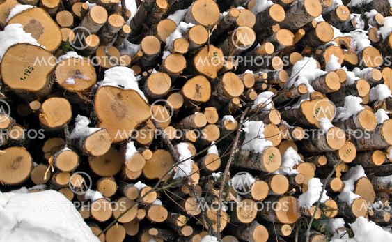 timber
