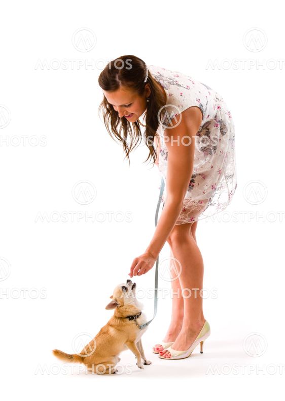 Dog training