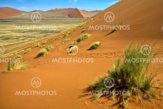 view from the une 45 near sossusvlei & sesriem africa namib naukluft park