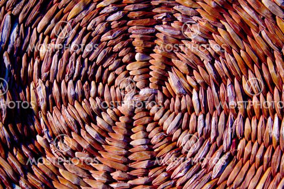 A photo of a weaved Rottan
