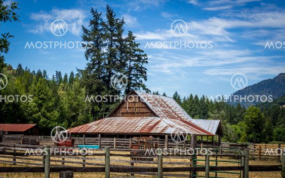 Quiet Farm