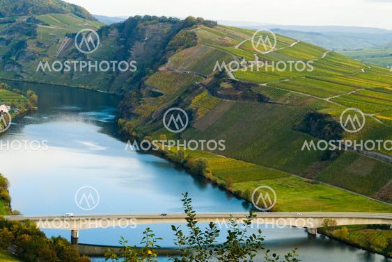viinitarhojen pitkin mosel