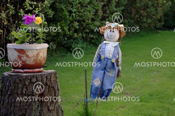 Scarecrow