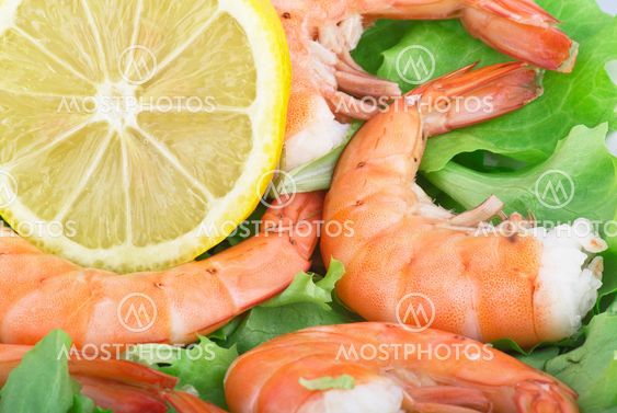 Fried Jumbo Shrimp with salad