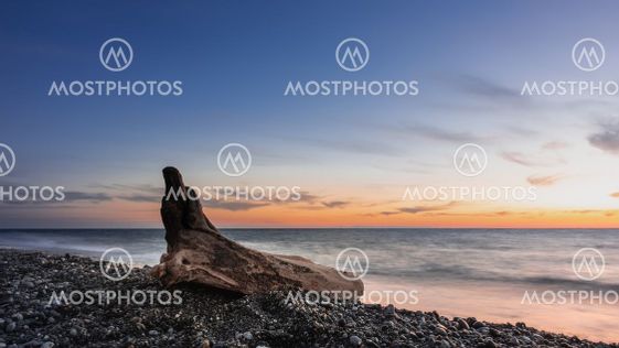 A picturesque old log lies on a pebble