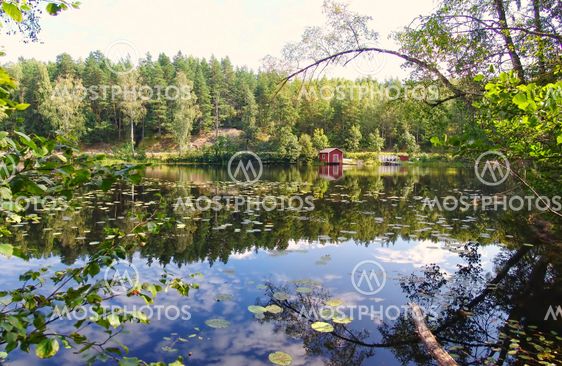 The Cabin by the lake