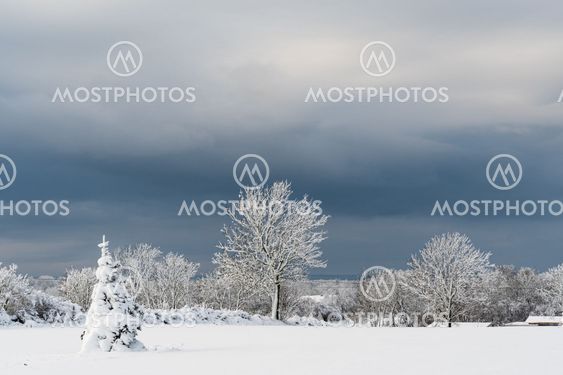 Winter landscape with dark sky
