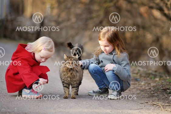 Two little sisters met a cat