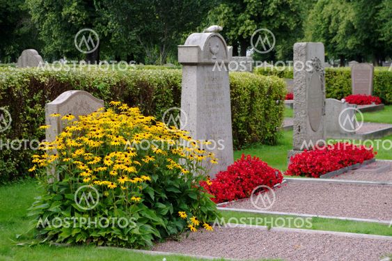 The Graves