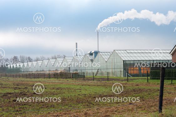 greenhouse