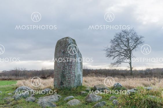 Ancient runestone in a rural landscape