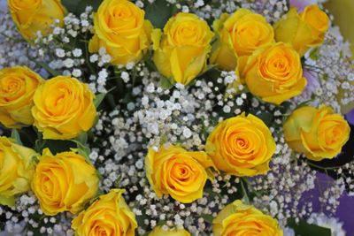 Flowers in colors( mixed )