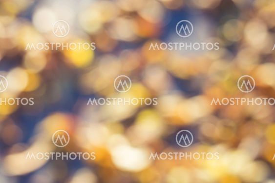 abstract picture of autumn in Belarus