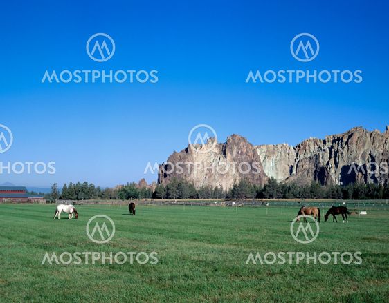 Couple of horses eating near Smith Rocks, Oregon
