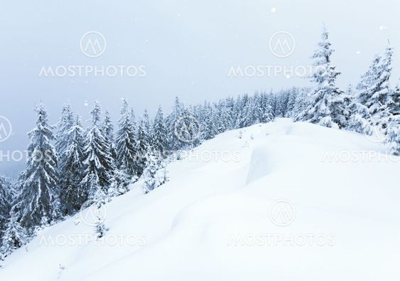 vinter bjerg landskab
