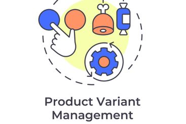 Product variant management multi color concept icon