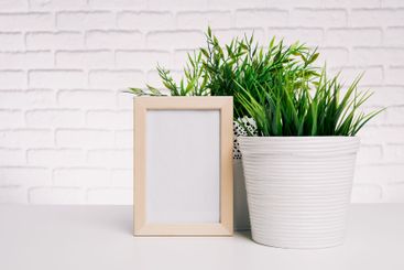 Decorative indoor plant with a wooden frame on a...