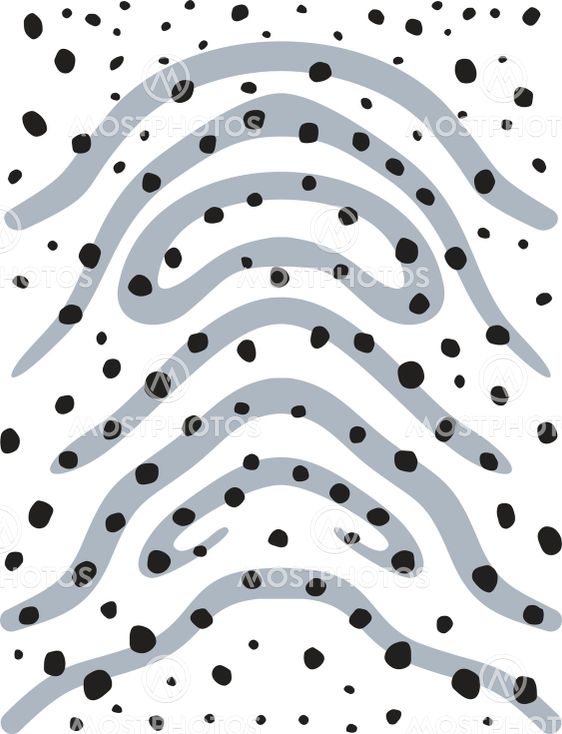 Background of Zebra Shark skin