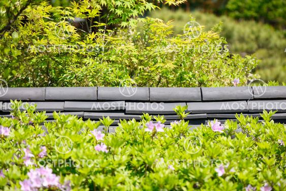 Korean traditional roof tiled wall in a bush