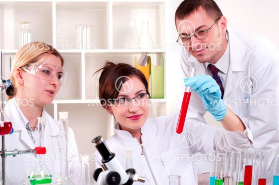 portrait of a group of chemists