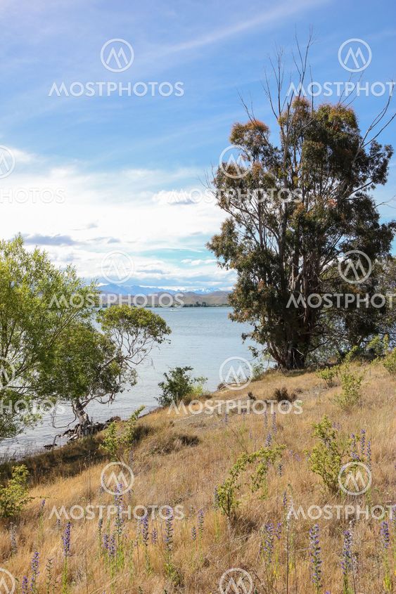 dry summer landscape