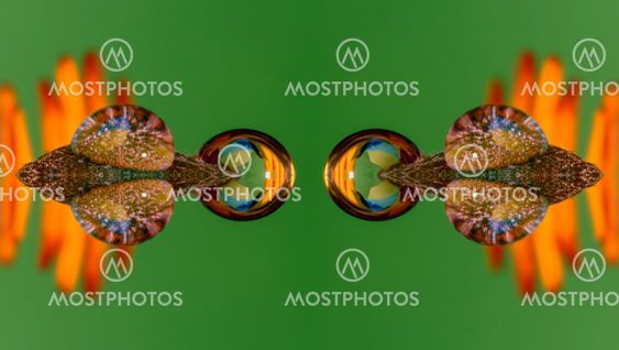 abstract color wallpaper, background,