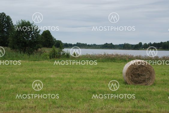 Lantlig vy vid vacker sjö (Sweden)