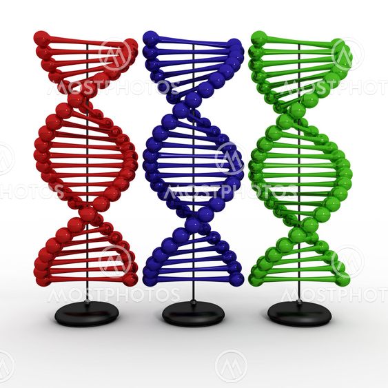 dna biology