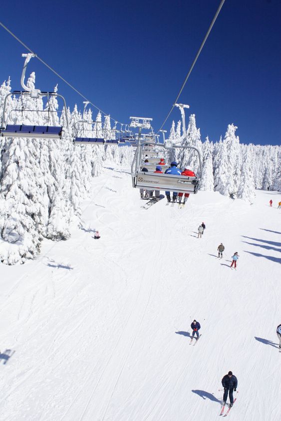 skiers enjoying the slopes