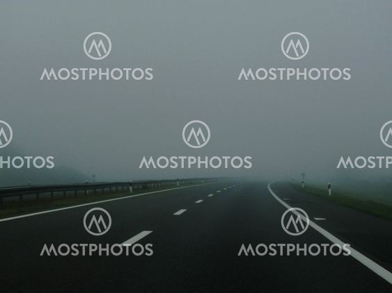 The morning fog