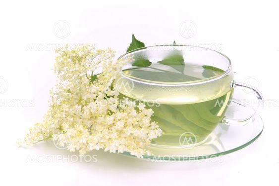 Tee Holunderbl?te - tea elder flower 02