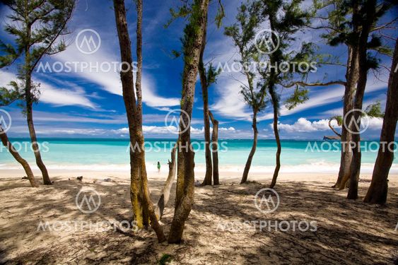 Beach Scenic