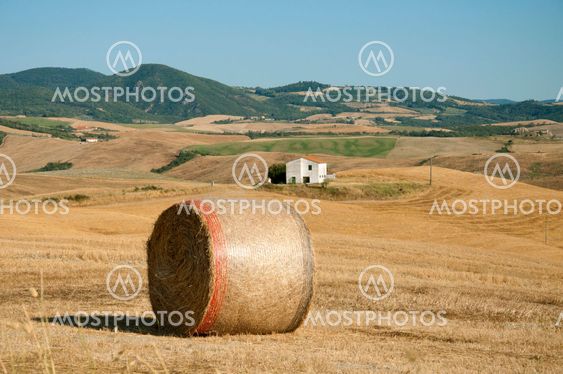 A bale of hay in the Tuscan countryside