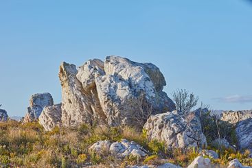 Tourism, rocks and environment with nature, plants and...