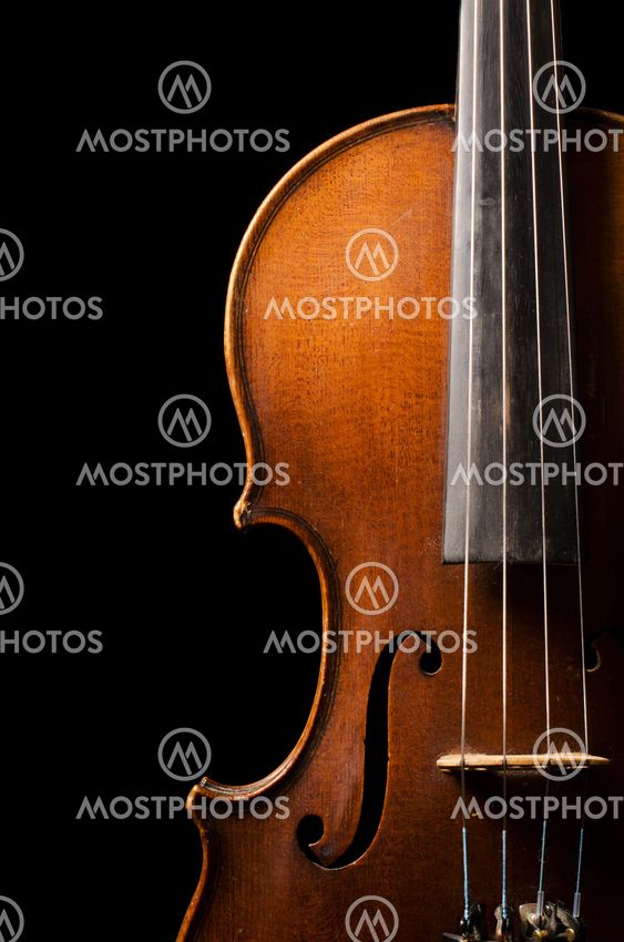 Violin close up