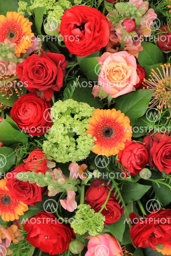 Pink roses and red camelia