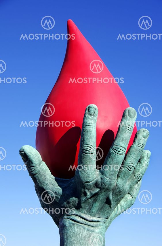 blood donor
