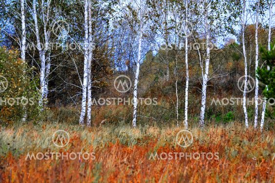 Nature Altaya