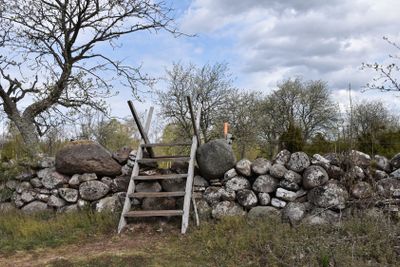 Stätta över en traditionell  stenmur vid en vandringsled...