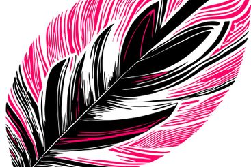 simple graphic drawing black and pink bird feather,...