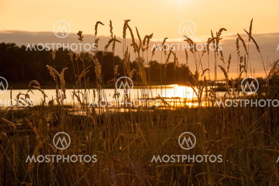 Reflection Of A Setting Sun