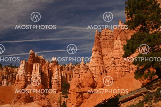 Navajo Trail